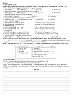 đề thi HKI sinh 8