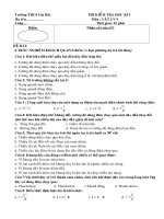 ĐỀ THI VẬT LÝ 9 HỌC KÌ I(2010-2011)