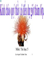Bài: Trau chuốt hình vẽ