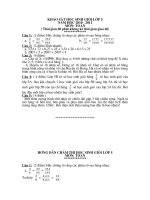 Khao sat HSG Lop 5 Mon Toan