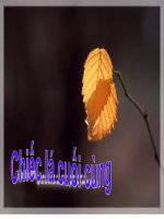 HÌnh thiên nhiên đẹp