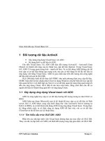 Đối tượng dữ liệu ActiveX