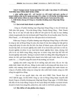 THỰC TRẠNG HẠCH TOÁN NGUYÊN VẬT LIỆU TẠI CÔNG TY CỔ PHẦN THƯƠNG MẠI TỔNG HỢP NÔNG CỐNG