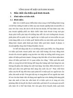 TỔNG QUAN VỀ HIỆU QUẢ KINH DOANH