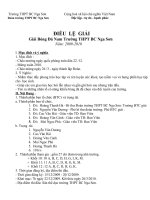 Điều lệ giải bóng đá