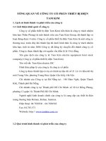 TỔNG QUAN VỀ CÔNG TY CỔ PHẦN THIẾT BỊ ĐIỆN