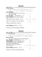 Tiết 36: kiểm tra chương II đại số 7