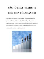 CÁC TỐ CHẤT (TRAITS) và BIỂU HIỆN CỦA NHÂN TÀI