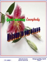 E8U6-Languege focus -Thi GVG cum