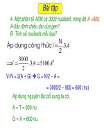 bài 16: ADN và bản chất của gen