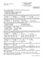 Đề mẫu thi HKI Hóa 12 số 1