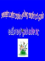 Các dân tọc, sự phân bố dân cư.