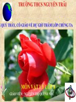 Dinh luat ve cong  Thi GVG  cap Tinh.