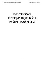 Đề cương ôn thi toán 12 HK1 hot