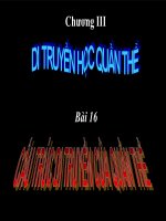 Bài 16: Cấu trúc di truyền của Quần thể