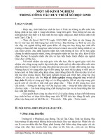 SKKN Lâm Ngọc Phượng