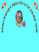 Bài thao giảng tương tác gen...