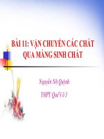 bài 11 vận chuyển các chất qua màng sinh chất