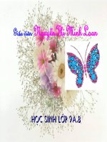 doan thuyen danh ca 52