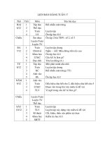 GIÁO ÁN CHUẨN KIẾN THỨC LỚP 4 TUẦN 17