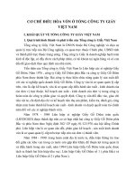 CƠ CHẾ ĐIỀU HÒA VỐN Ở TỔNG CÔNG TY GIẤY VIỆT NAM