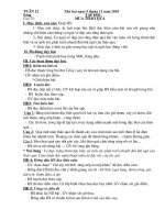 Lớp 5 - tuần 12