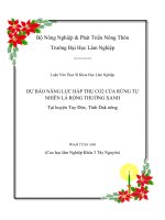 Báo cáo đề tài CO2