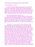 Cảm xúc về bài bụi phấn