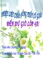 Anh sang can cho su song