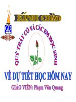 tiết 33- Thân nhiệt