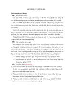 GIỚI THIỆU VỀ CÔNG TY