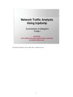 Examination of Datagram Fields I