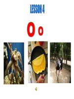 starter: leson 4 O o