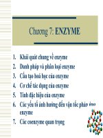 Chương 7: ENZYME