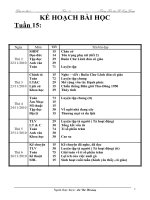 GA lớp 5-tuần 15- ChuẩnKTKN-KNS-2010-2011