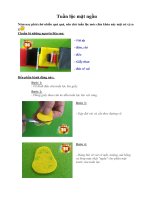 Tuần lộc mặt ngầu