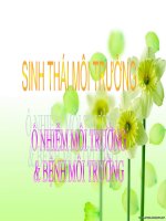 Ô nhiễm môi trường và bệnh môi trường