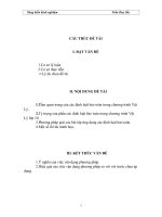 SKKN các dl bảo toan