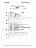 giao an 3 da chinh sua T12