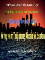 MRVT: Từ địa phương. Dấu chấm hỏi, chấm than