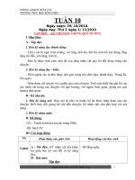 giáo án lớp tuần 10,11 CKTKN