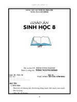 GIÁO ÁN SINH 8 ( tập 2)