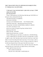 THỰC TRẠNG PHÂN TÍCH TÀI CHÍNH DOANH NGHIỆP Ở CÔNG TY TNHH QUẢNG CÁO LIÊN MINH