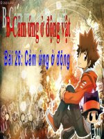 Bài 26: Cảm ứng ở động vật