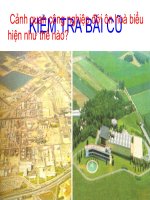 Bai 16 Do Thi Hoa o Doi on hoa