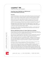 LoopStar® 700 Ethernet Access and Transport