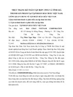 THỰC TRẠNG KẾ TOÁN TẬP HỢP  CPSX VÀ TÍNH GIÁ THÀNH SẢN PHẨM TẠI TẬP ĐOÀN HẢI CHÂU VIỆT NAM