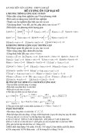 ĐỀ CƯƠNG ÔN TẬP TOÁN 11CB HOCKI1