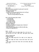 HSG TIN 9 NINH HOA 2010-2011