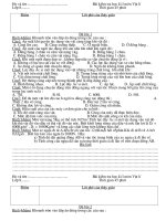 de kiem tra hoc ky I Ly 8(10-11)